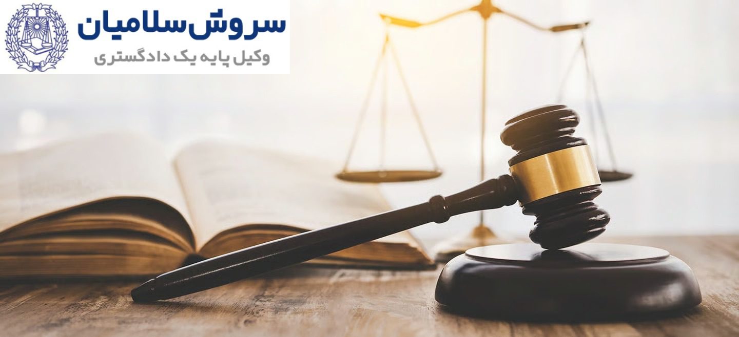 طرح دعوی مدنی علیه حامل و اشخاص مسئول بار گم شده