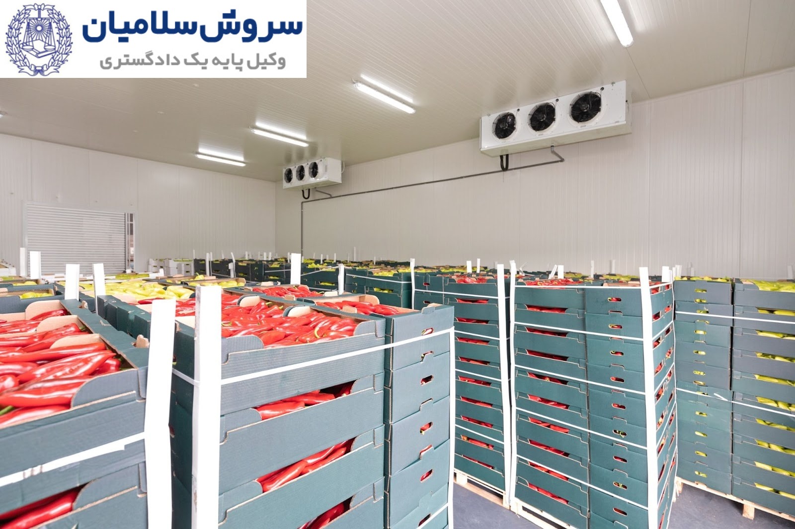 نقش بیمه در مسئولیت شرکت حمل کالاهای یخچالی