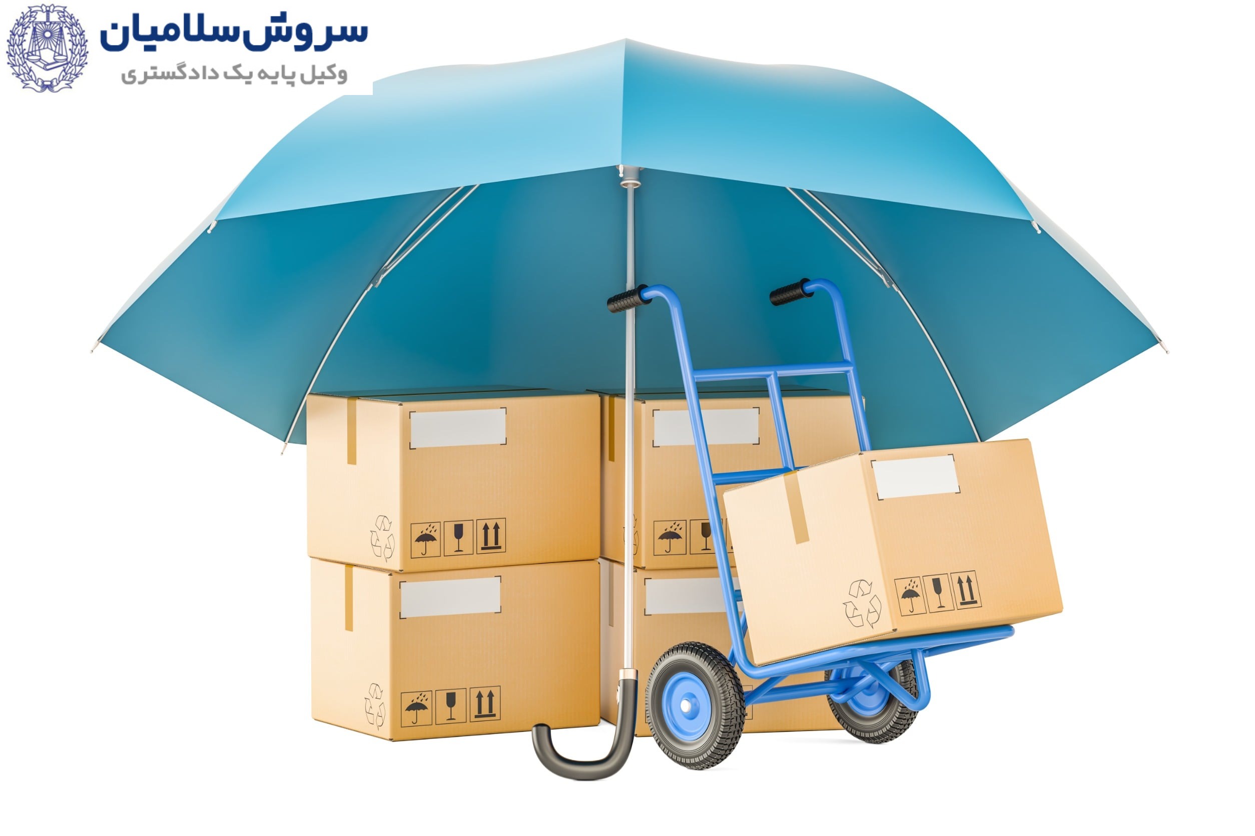 رویه‌های قانونی دعاوی بیمه بار