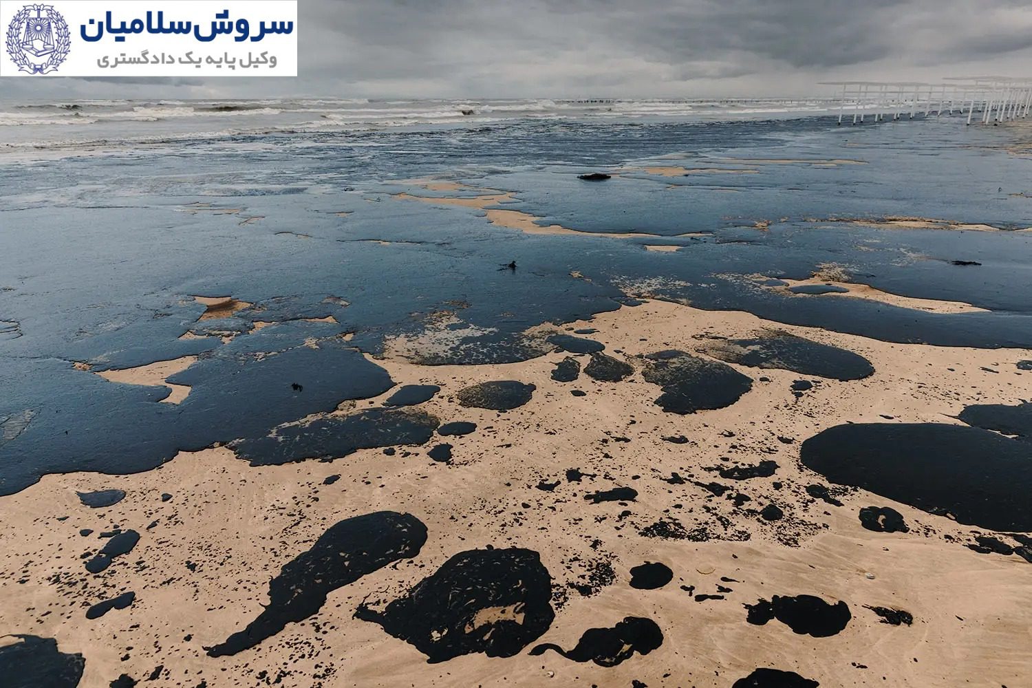 مسئولیت مالک کشتی در برابر خسارت‌های زیست‌محیطی